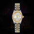 Automatic mechanical watches